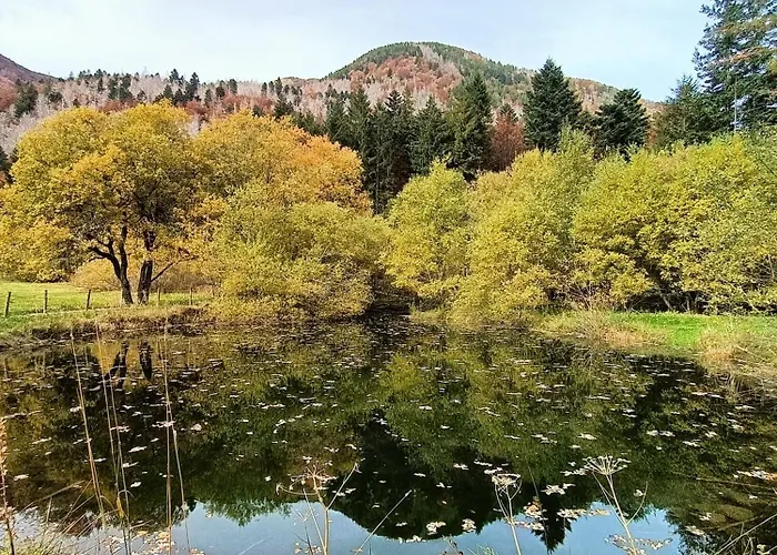 Il Bosco Di Silvia Гостевой дом