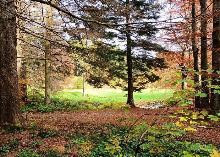 Il Bosco Di Silvia Bosco (Parma)