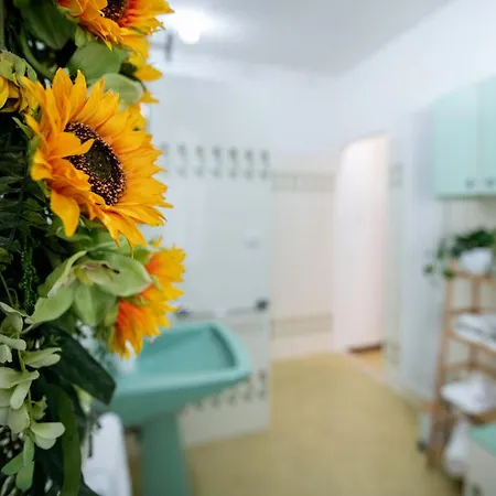 Il Bosco Di Silvia 3*