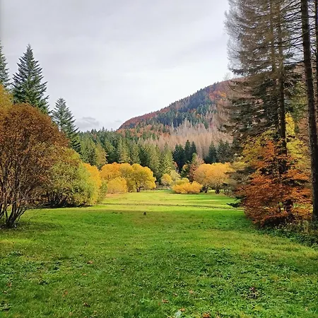 Il Bosco Di Silvia Bosco (Parma)