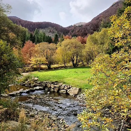 Il Bosco Di Silvia 3* Bosco (Parma)