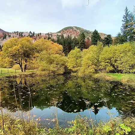 Il Bosco Di Silvia Pensionat