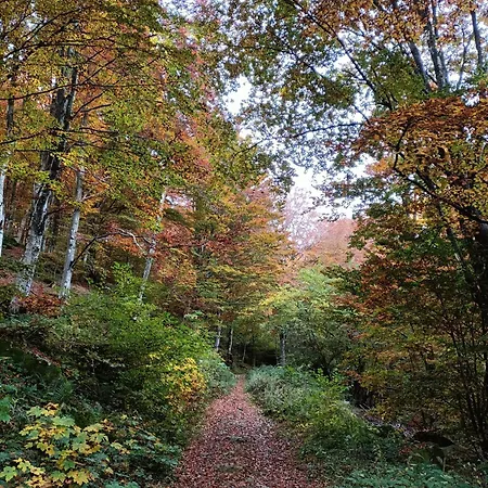 Il Bosco Di Silvia 3* Bosco (Parma)