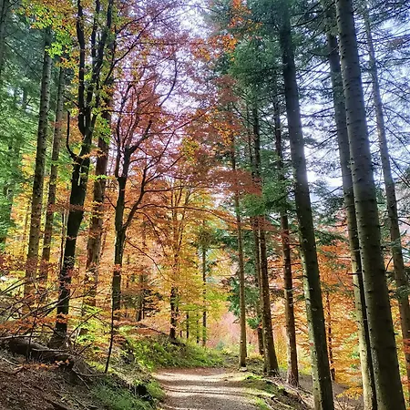 Pensionat Il Bosco Di Silvia 3*