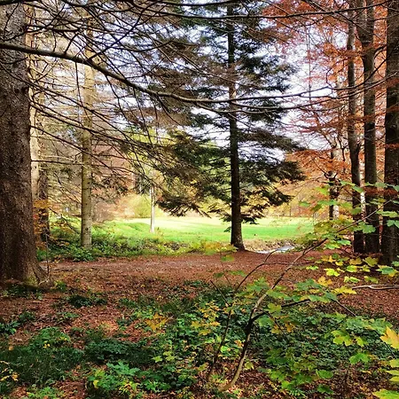 Il Bosco Di Silvia Bosco (Parma)
