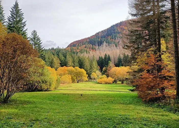 Il Bosco Di Silvia Bosco (Parma)