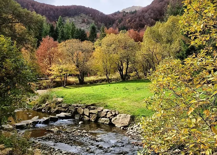 Il Bosco Di Silvia 3* Bosco (Parma)