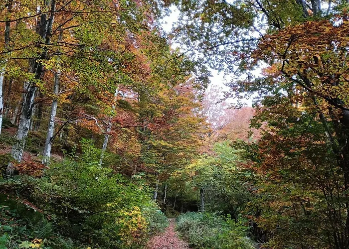 Il Bosco Di Silvia 3* Bosco (Parma)